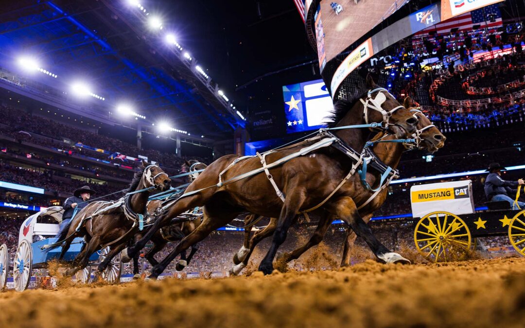 Celebrating Houston: How the Rodeo Has Shaped Generations of Houstonians