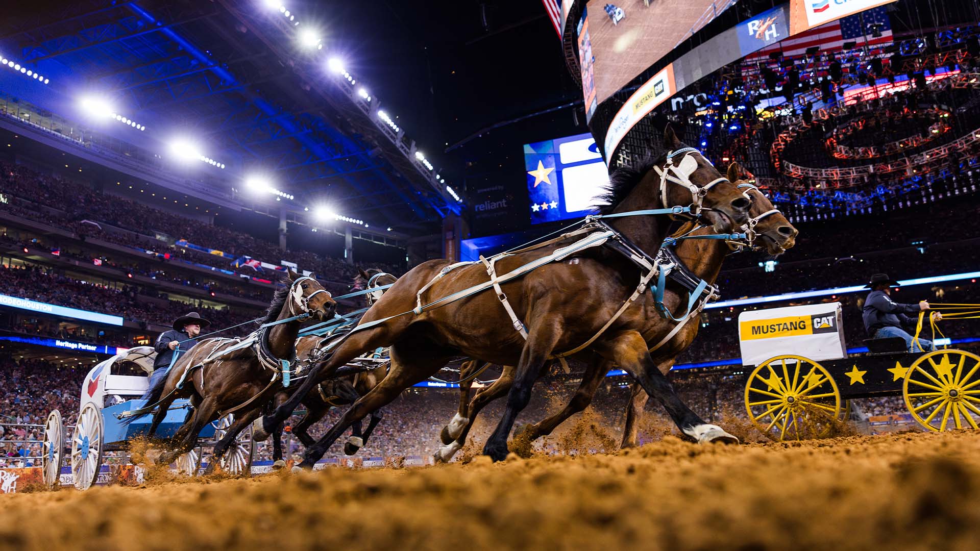 Celebrating Houston: How the Rodeo Has Shaped Generations of Houstonians
