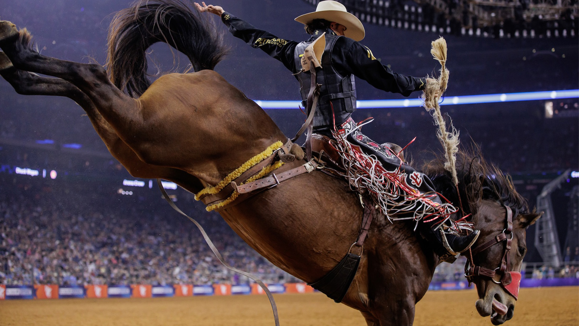 Rodeo 101: A Beginner’s Guide to Events, Traditions and the Sport