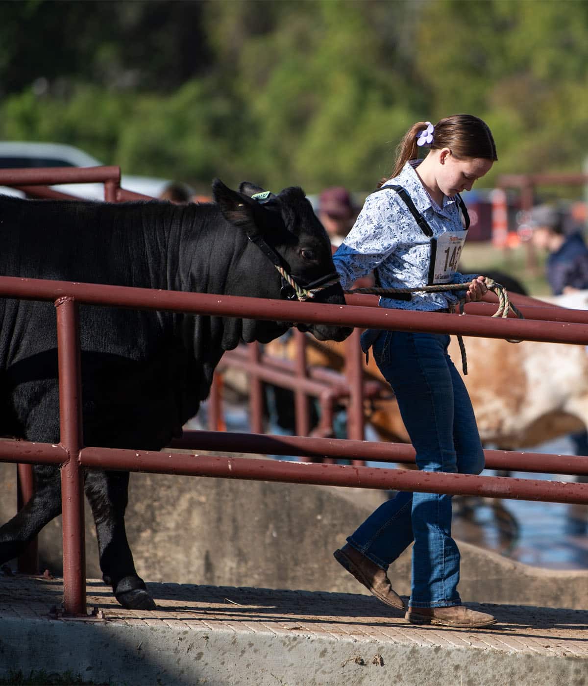 Exhibitors at the Calf Scramble Progress Show
